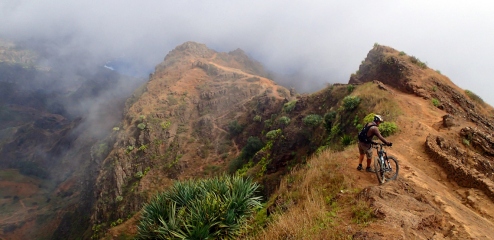 The Adrenaline (MTB)